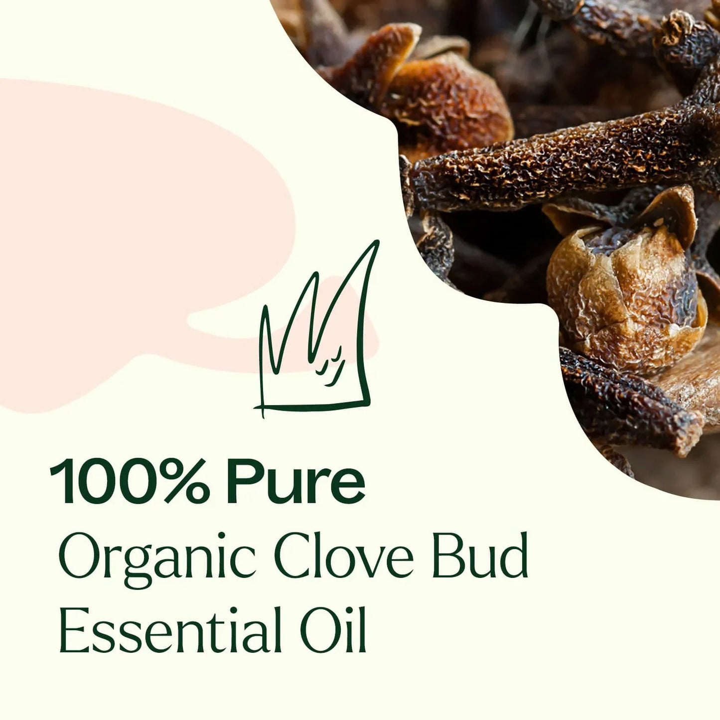 Clove Bud ORGANIC Essential Oil