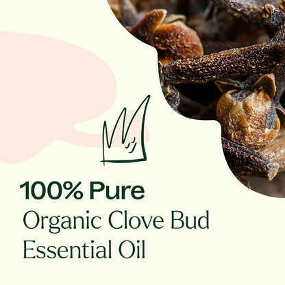 Clove Bud ORGANIC Essential Oil