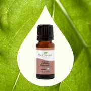 Copaiba ORGANIC Essential Oil