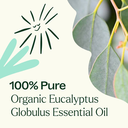 Eucalyptus Globulus ORGANIC Essential Oil