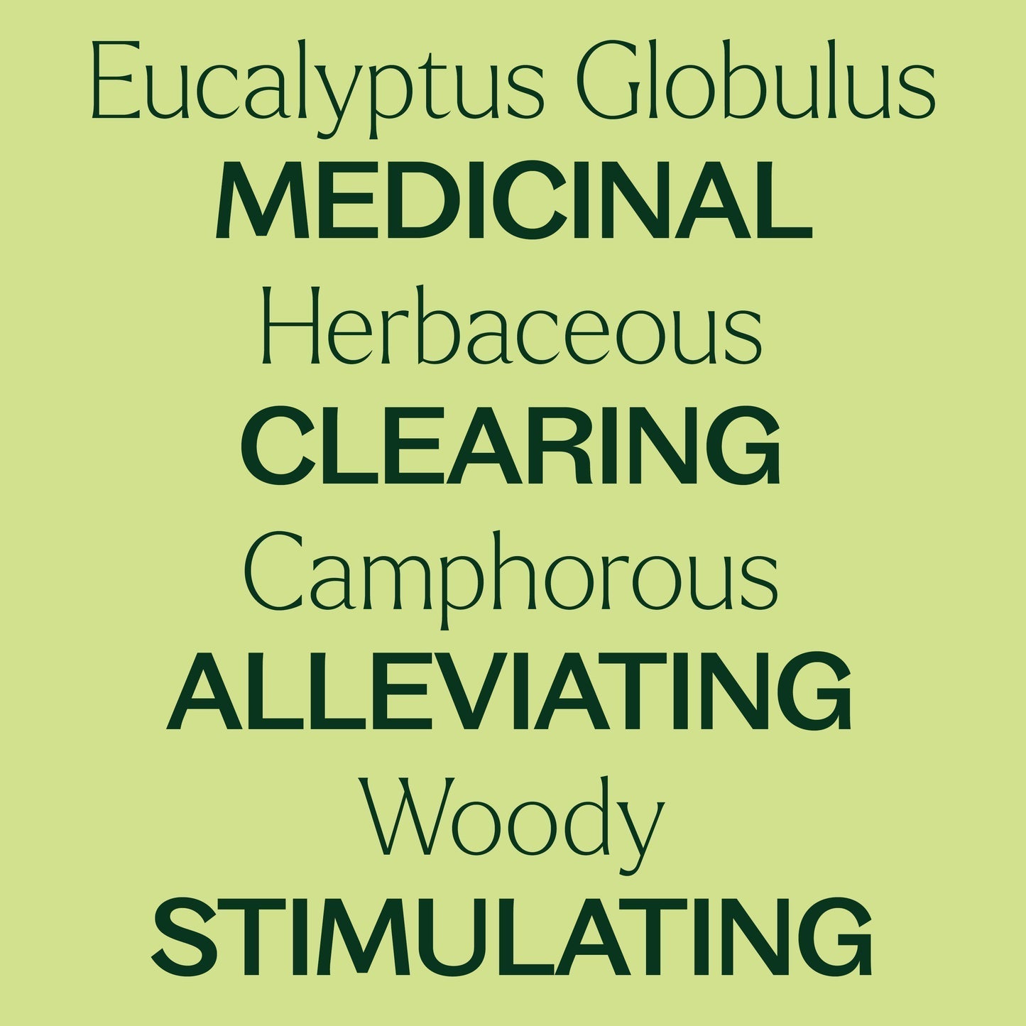 Eucalyptus Globulus ORGANIC Essential Oil