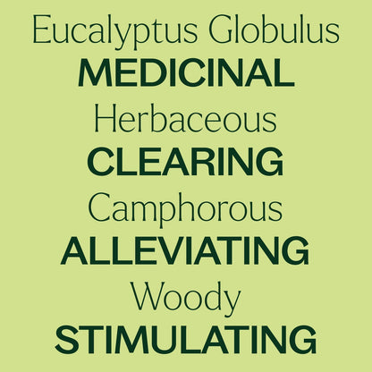 Eucalyptus Globulus ORGANIC Essential Oil