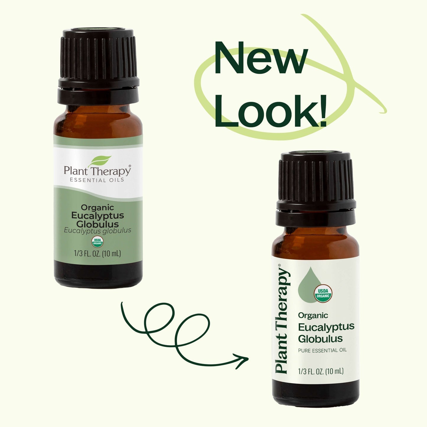 Eucalyptus Globulus ORGANIC Essential Oil