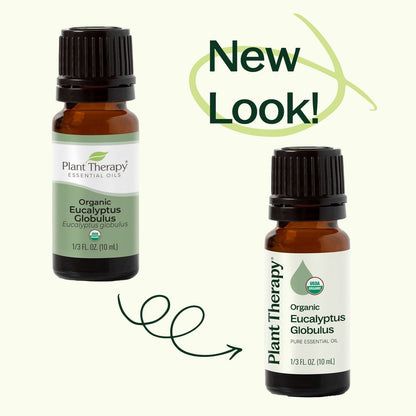 Eucalyptus Globulus ORGANIC Essential Oil