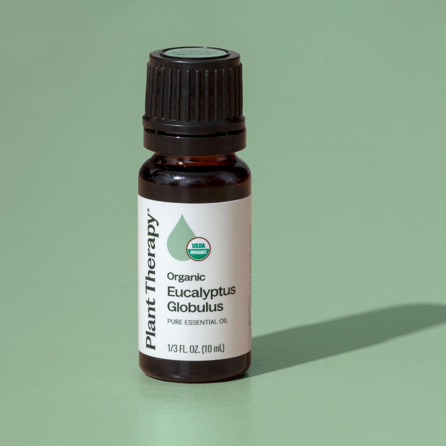 Eucalyptus Globulus ORGANIC Essential Oil