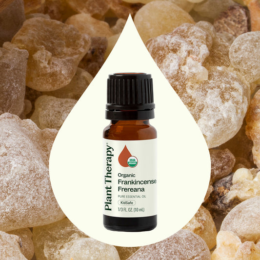 Frankincense Frereana ORGANIC Essential Oil