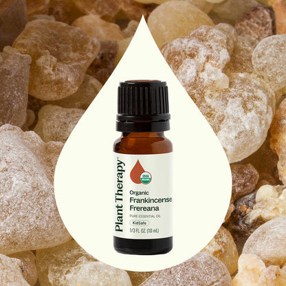 Frankincense Frereana ORGANIC Essential Oil