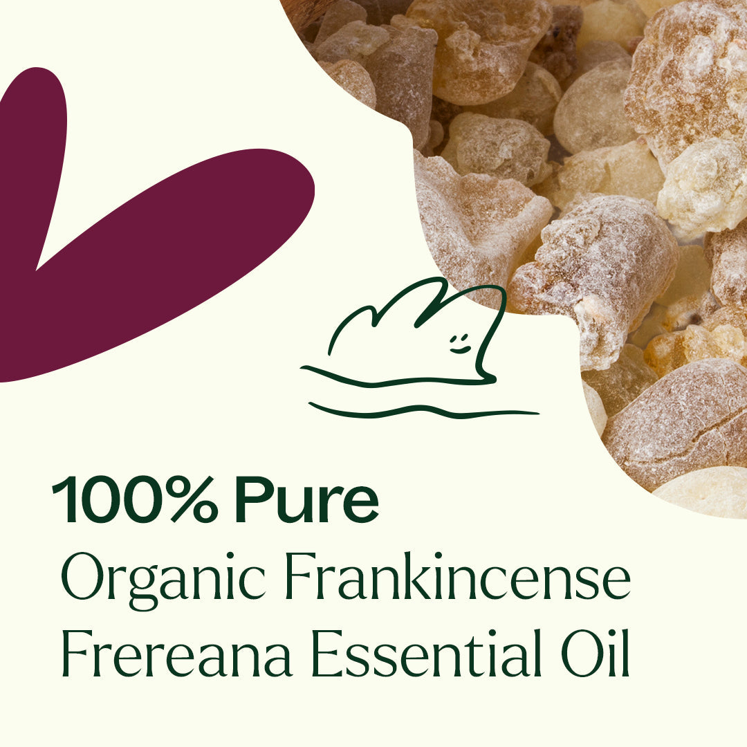 Frankincense Frereana ORGANIC Essential Oil