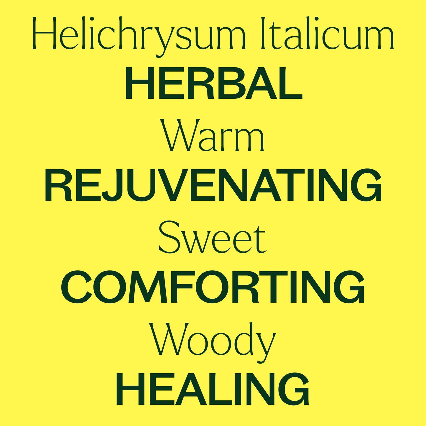 Helichrysum Italicum ORGANIC Essential Oil