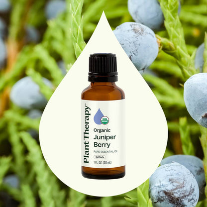 Juniper Berry ORGANIC Essential Oil