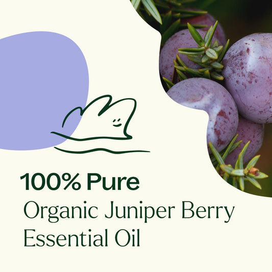 Juniper Berry ORGANIC Essential Oil