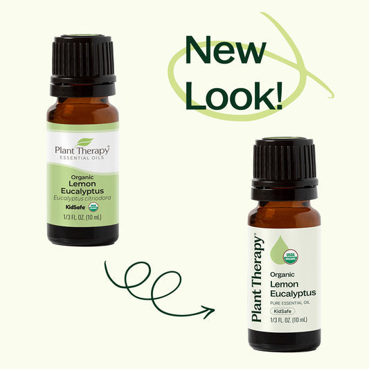 Eucalyptus Lemon ORGANIC Essential Oil