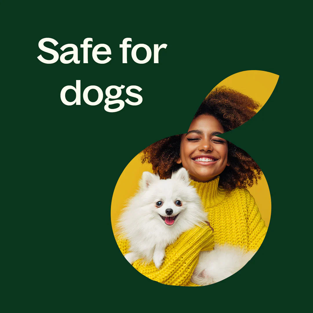 Lemongrass ORGANIC Essential Oil