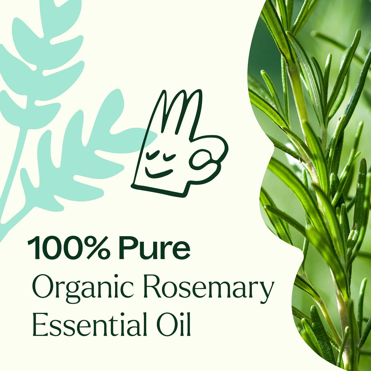 Rosemary ORGANIC Essential Oil