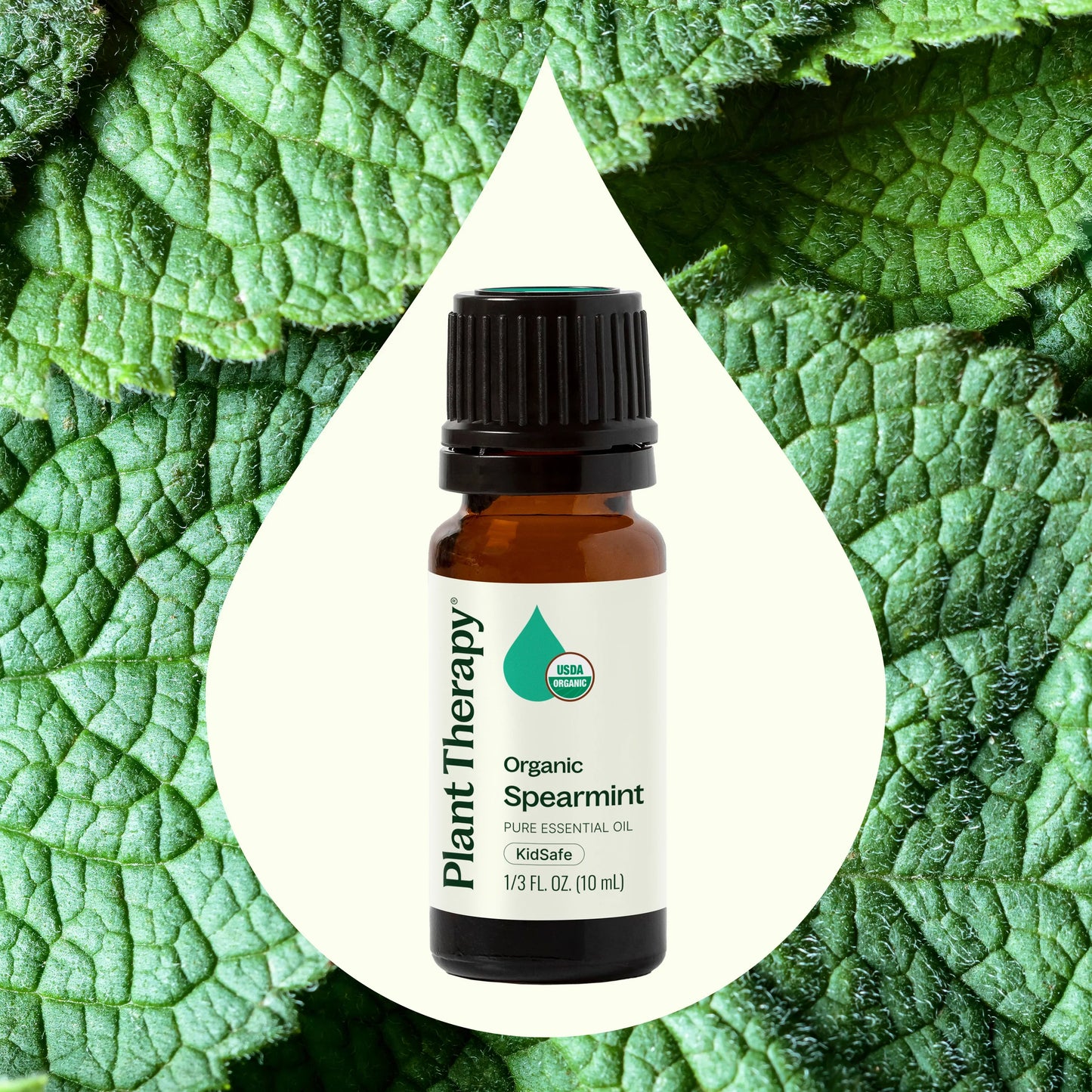 Spearmint ORGANIC Essential Oil