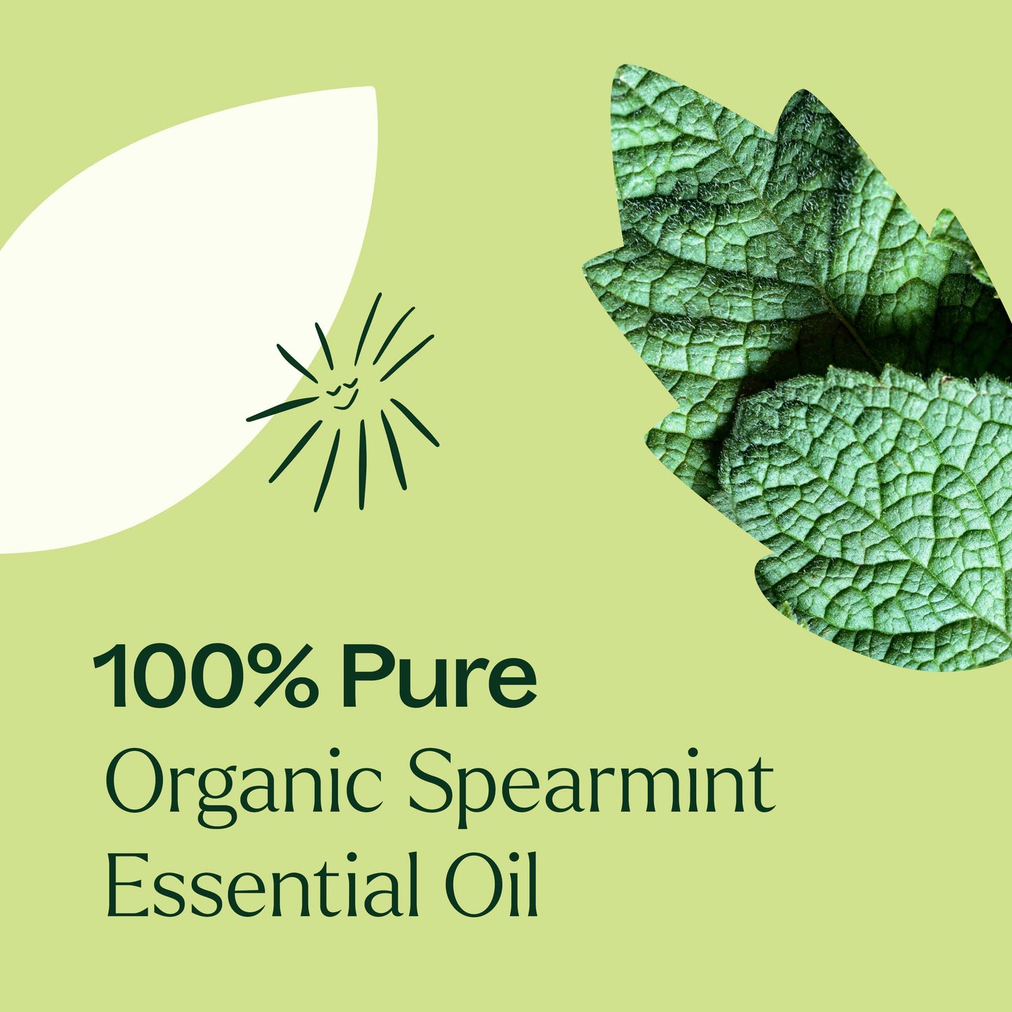Spearmint ORGANIC Essential Oil