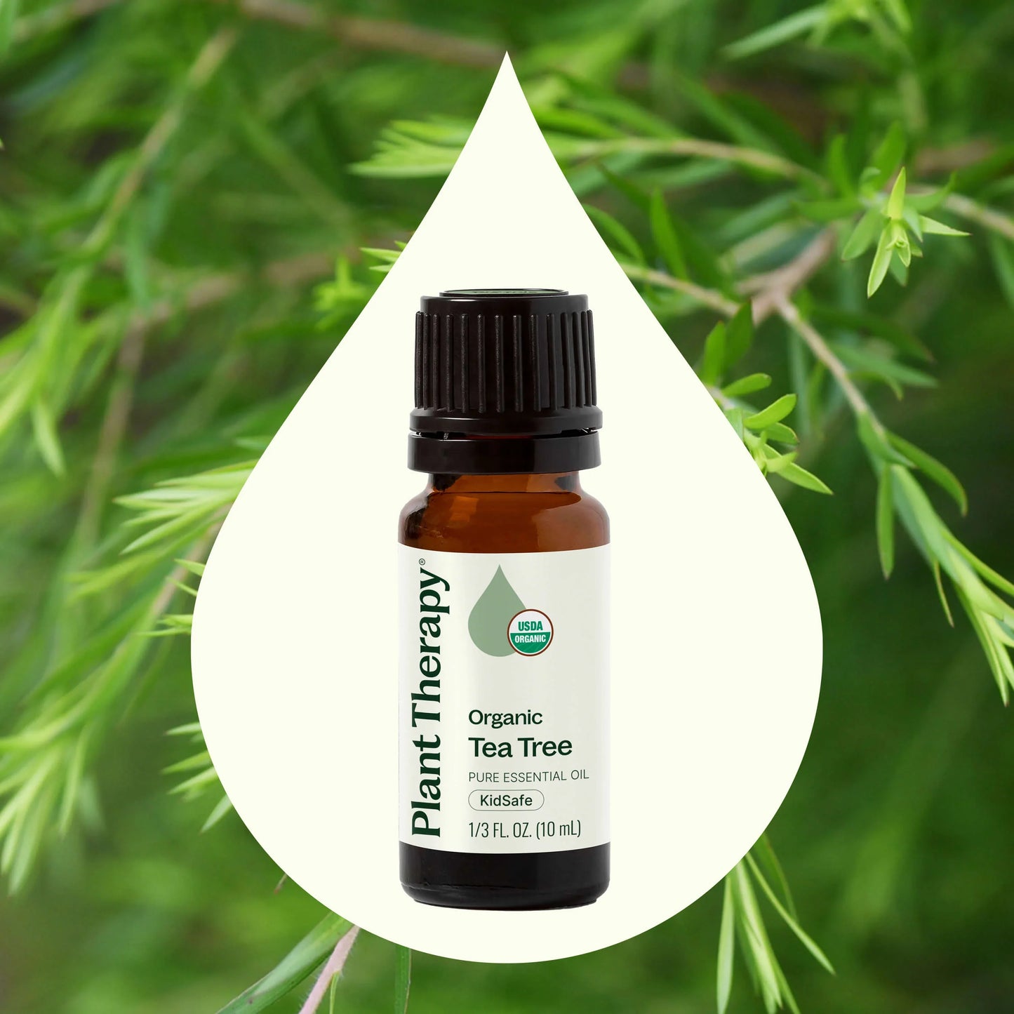 Tea Tree ORGANIC Essential Oil