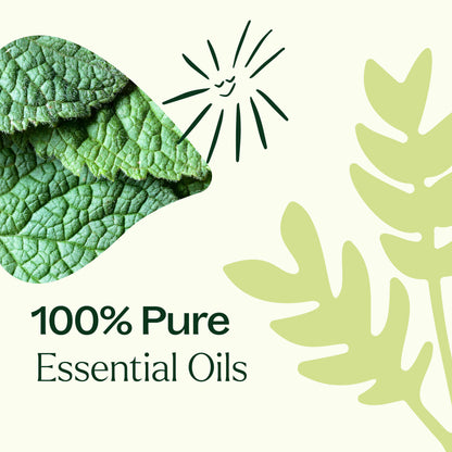 Pain Support Essential Oil Blend Roll-On Set