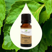 Patchouli Essential Oil 10ml