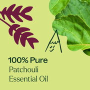 Patchouli Essential Oil 10ml