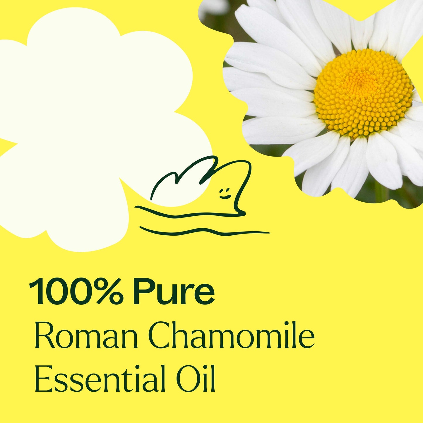 Roman Chamomile Essential Oil