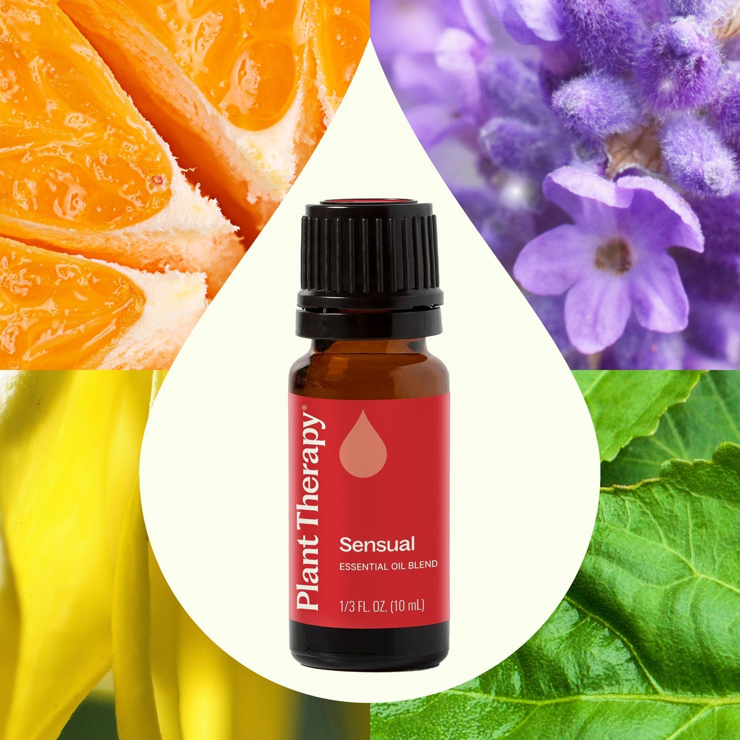 Sensual Synergy Essential Oil