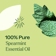 Spearmint Essential Oil 10ml