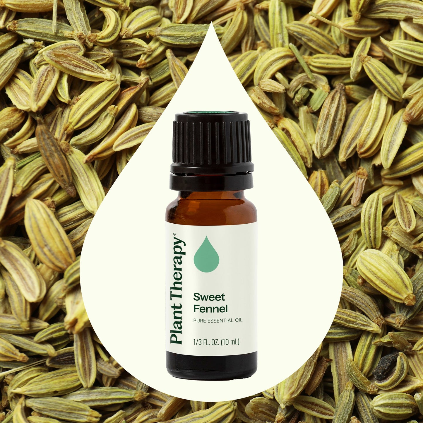 Sweet Fennel Essential Oil