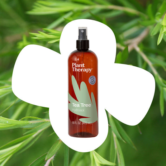 Tea Tree ORGANIC Hydrosol