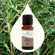 Thyme Linalool Essential Oil 10ml