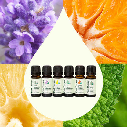 Top 6 Singles Organic Essential Oil Set