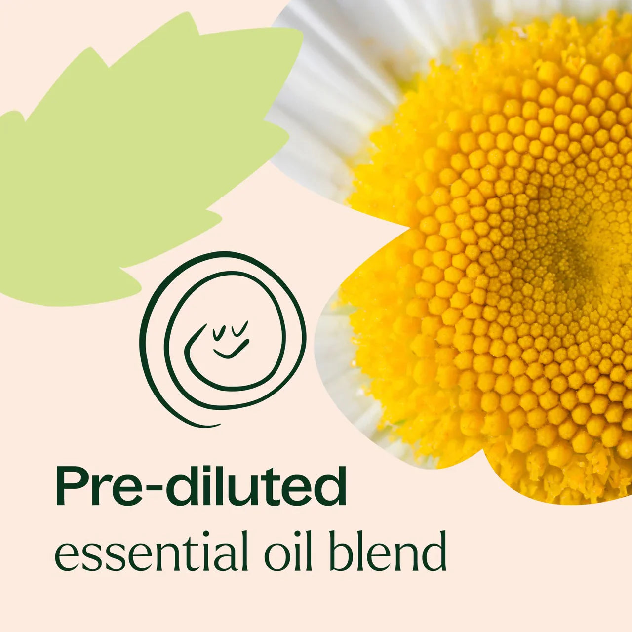 Tummy All Better Pre Diluted Roller