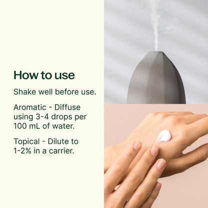 Vanilla Spice Essential Oil Blend