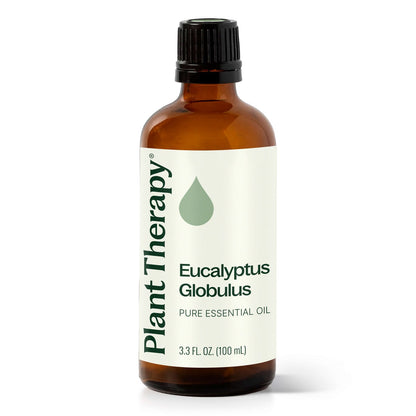 Eucalyptus Globulus ORGANIC Essential Oil