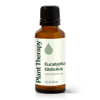 Eucalyptus Globulus ORGANIC Essential Oil