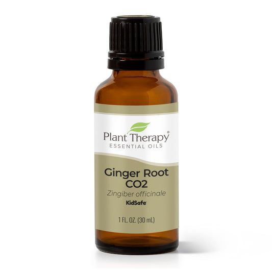 Ginger Root CO2 Essential Oil