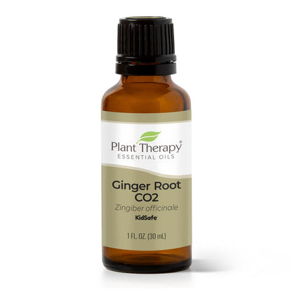 Ginger Root CO2 Essential Oil
