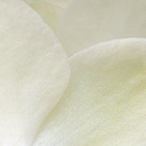 Vanilla Botanical Extract