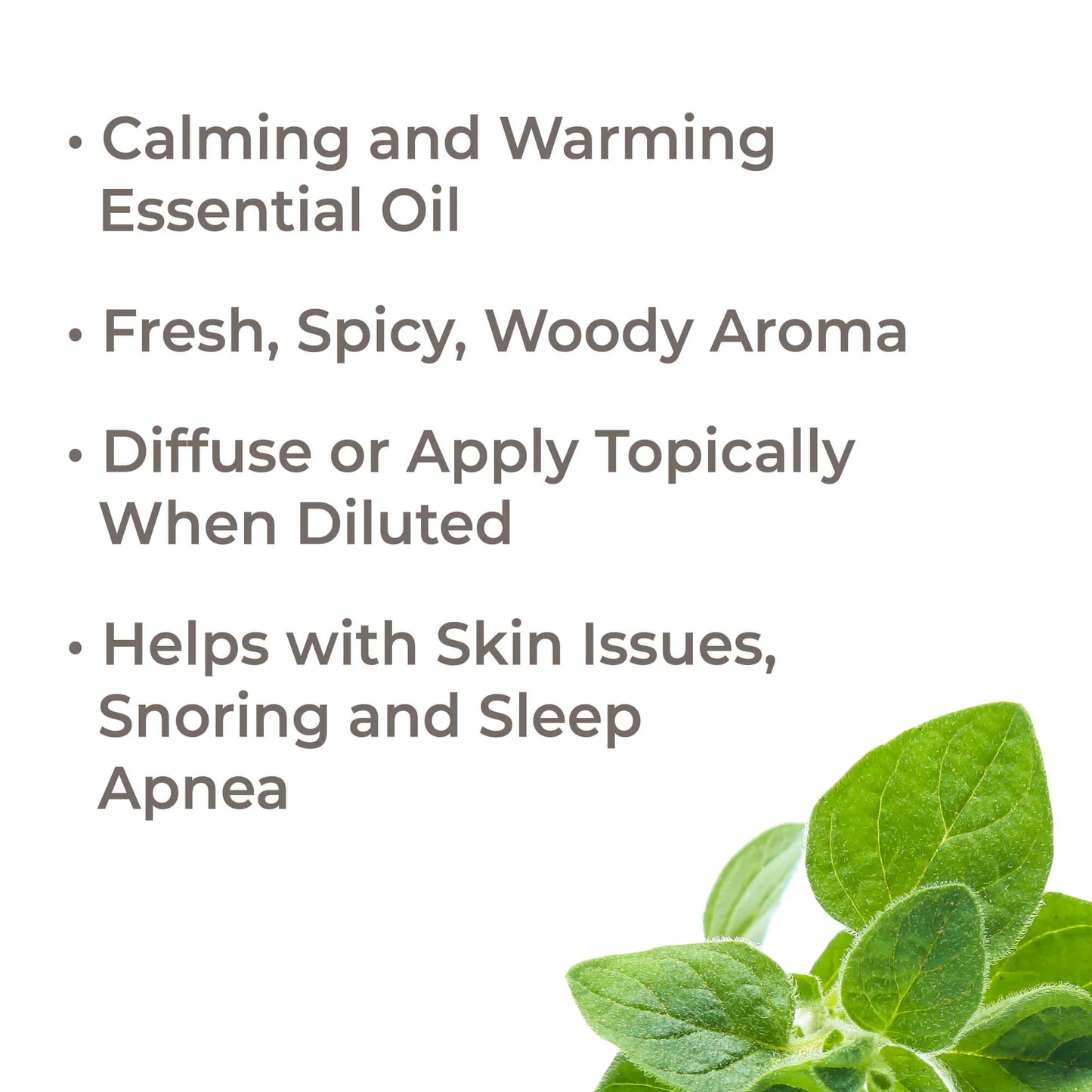 Marjoram Sweet ORGANIC Essential Oil