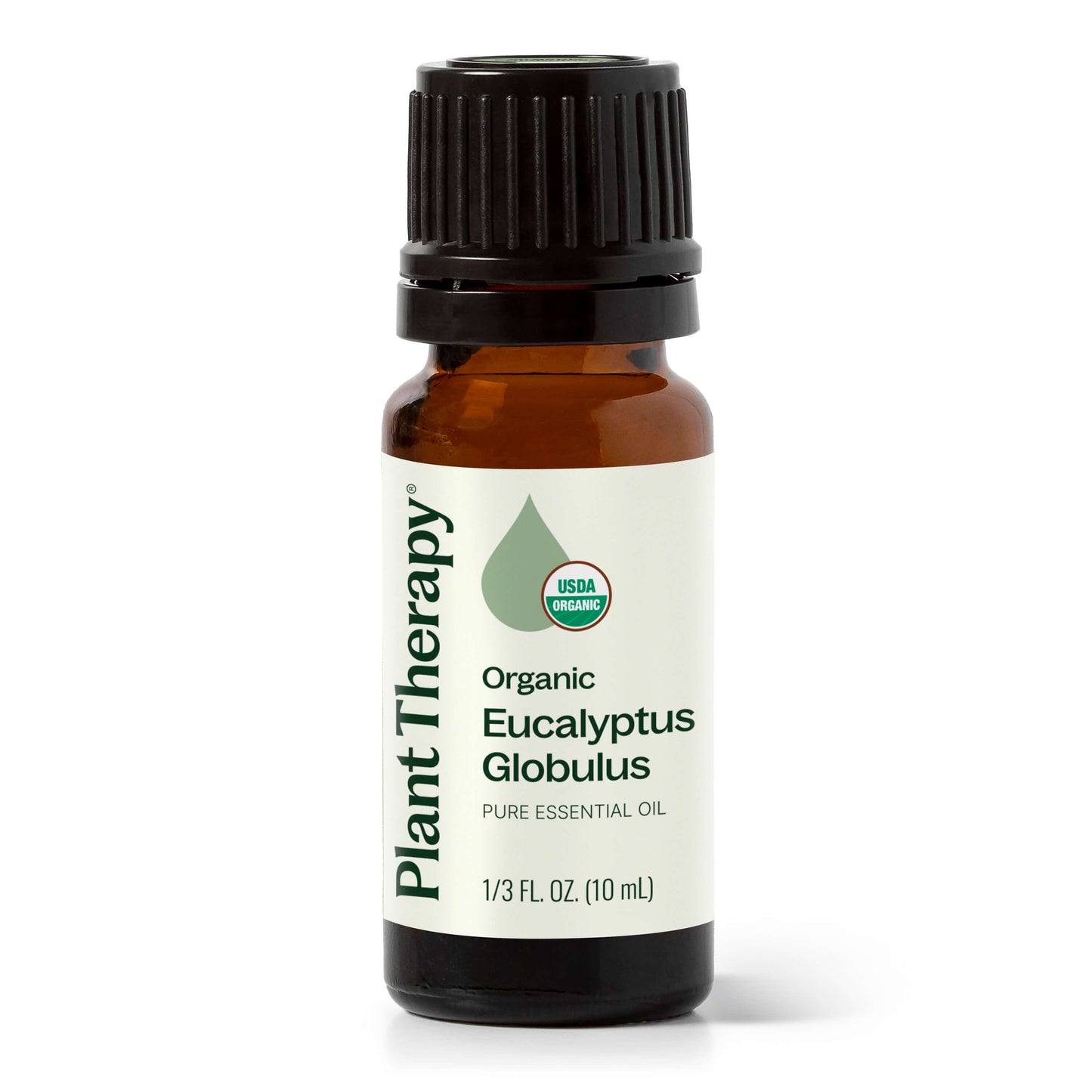 Eucalyptus Globulus ORGANIC Essential Oil
