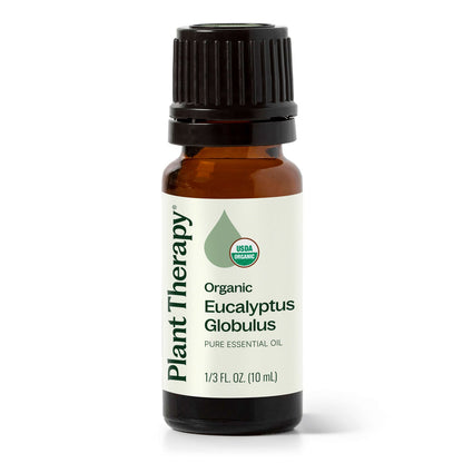 Eucalyptus Globulus ORGANIC Essential Oil