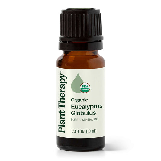 Eucalyptus Globulus ORGANIC Essential Oil